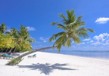 Budget Hotel Attraction Img 5 Min