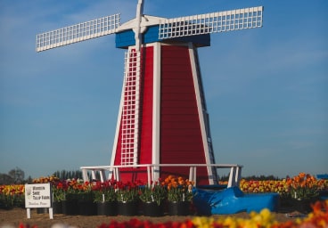 Budget Hotel Attraction Img 6 Min